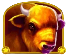 Buffalo premium symbol